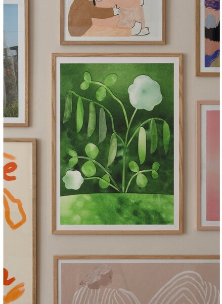 Plakát 50x70 cm Peas in Bloom – Anna Ravn Bjørn – The Poster Club