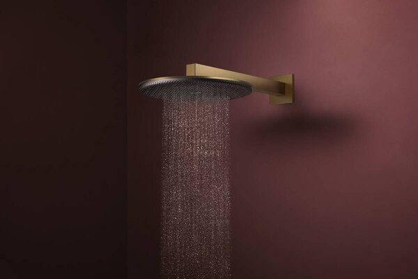 Hansgrohe Raindance Alive S - Hlavová sprcha 300 1jet EcoSmart + sprchové rameno 390 mm, kartáčovaný bronz 24521140+24337140