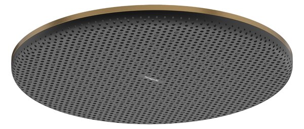 Hansgrohe Raindance Alive S - Hlavová sprcha 300 1jet, EcoSmart, kartáčovaný bronz 24521140