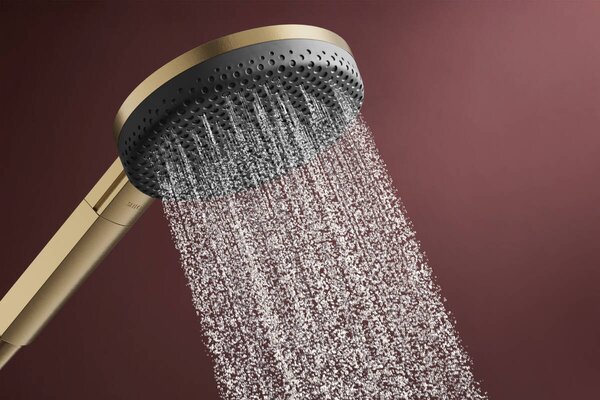 Hansgrohe Raindance Alive Select S - Sada se sprchovým držákem 125 3jet EcoSmart, se sprchovou hadicí Designflex 1600 mm, kartáčovaný bronz 24611140
