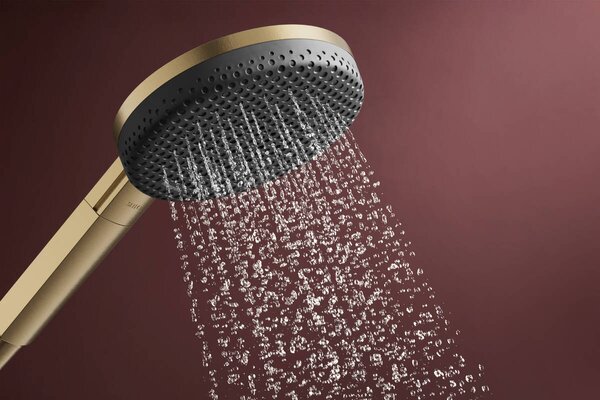 Hansgrohe Raindance Alive Select S - Sada se sprchovým držákem 125 3jet EcoSmart, se sprchovou hadicí Designflex 1600 mm, kartáčovaný bronz 24611140