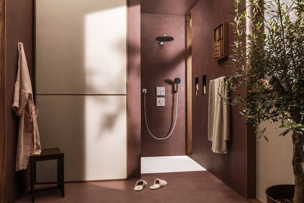 Hansgrohe Raindance Alive Select S - Sada se sprchovým držákem 125 3jet EcoSmart, se sprchovou hadicí Designflex 1600 mm, chrom 24611000