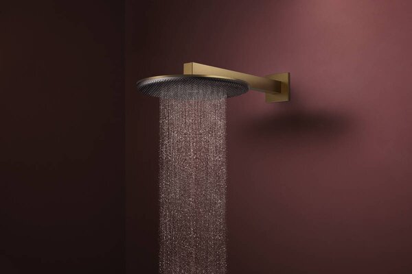Hansgrohe Raindance Alive S - Hlavová sprcha 300 2jet, se sprchovým ramenem, kartáčovaný bronz 24540140