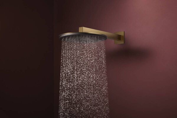 Hansgrohe Raindance Alive S - Hlavová sprcha 300 2jet, se sprchovým ramenem, kartáčovaný bronz 24540140