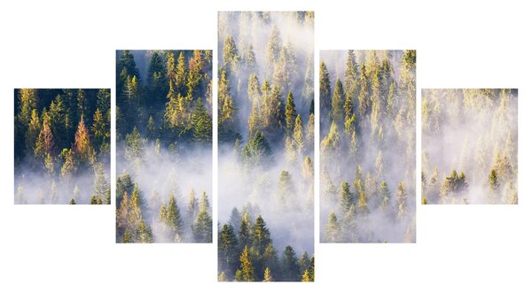 Obraz stromů v mlze (125x70 cm)