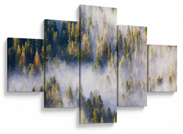 Obraz stromů v mlze (125x70 cm)