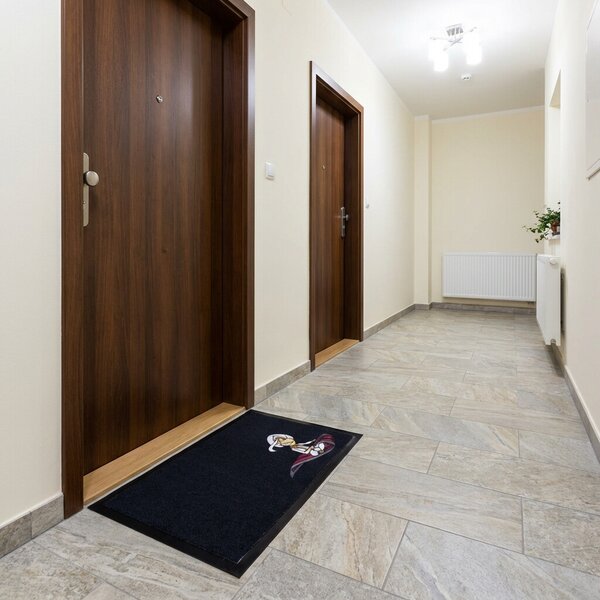 Mercury Flooring, Rohožka Aladin a létající koberec 40x60 cm, 40x60, černá