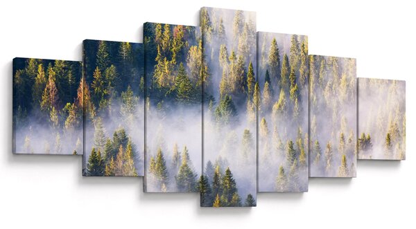 Obraz stromů v mlze (210x100 cm)