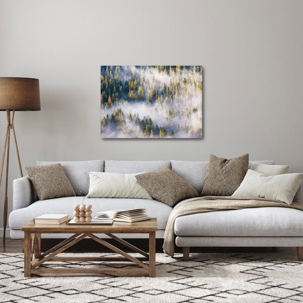Obraz stromů v mlze (70x50 cm)