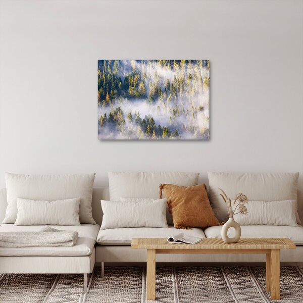 Obraz stromů v mlze (70x50 cm)