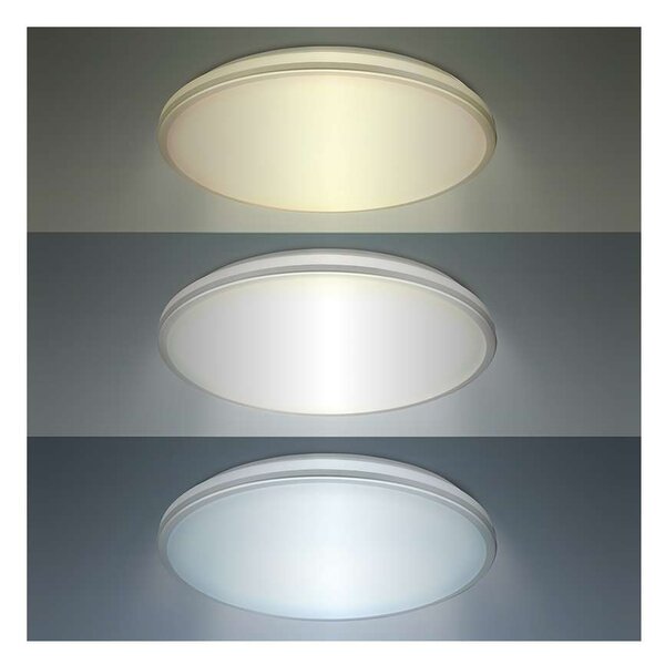 LED stropní světlo odolné vůči vlhkosti WO797 - průměr 38 cm, bílá