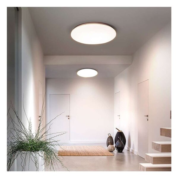 LED stropní světlo Plain 3000 K - průměr 26 cm, bílá