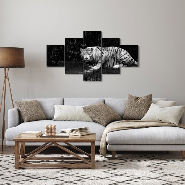 Obraz - Tygr albín, černobílý (125x70 cm)