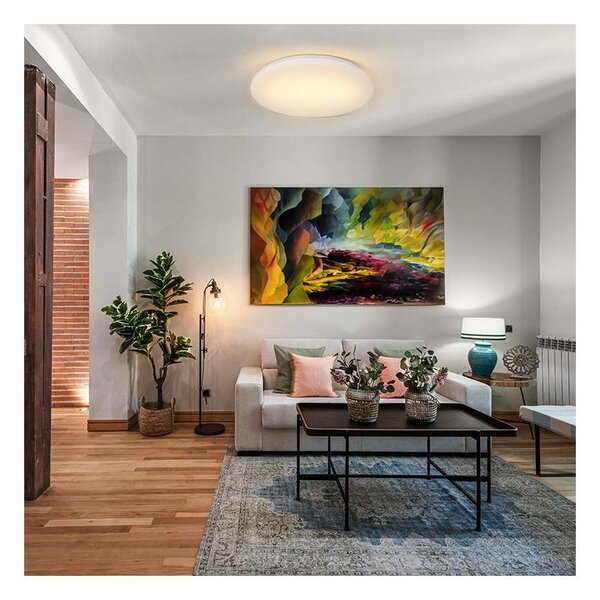 LED stropní světlo Plain 3000 K - průměr 26 cm, bílá