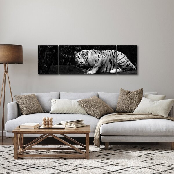 Obraz - Tygr albín, černobílý (170x50 cm)