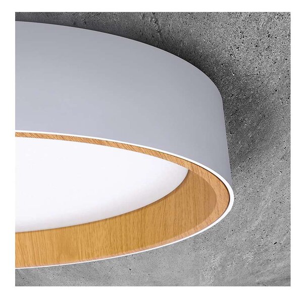 LED stropní světlo s dálkovým ovládáním Larios nastavitelné - průměr 39 cm, bílá