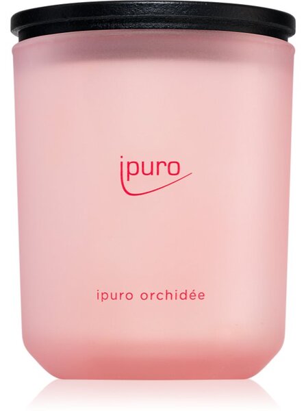 Ípuro Classic Orchidée vonná svíčka 270 g
