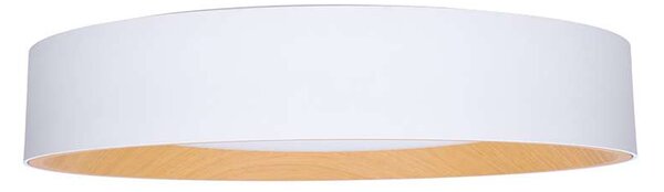 LED stropní světlo s dálkovým ovládáním Larios nastavitelné - průměr 39 cm, bílá
