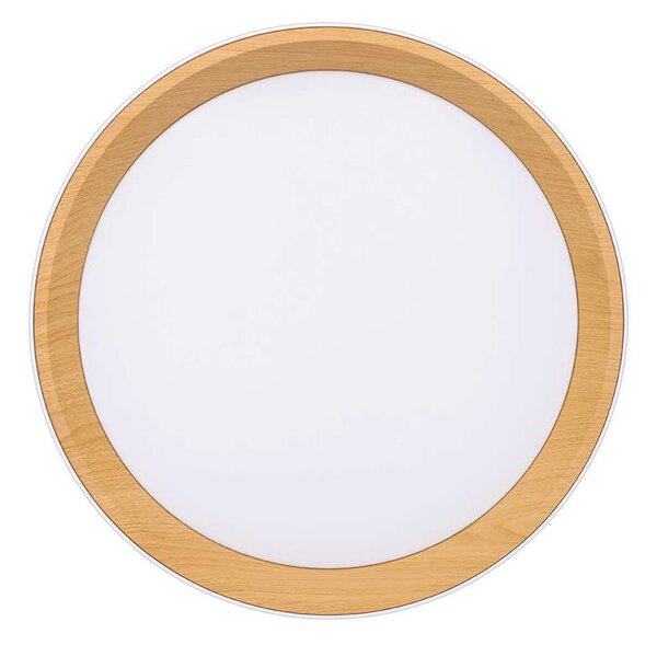 LED stropní světlo s dálkovým ovládáním Larios nastavitelné - průměr 39 cm, bílá