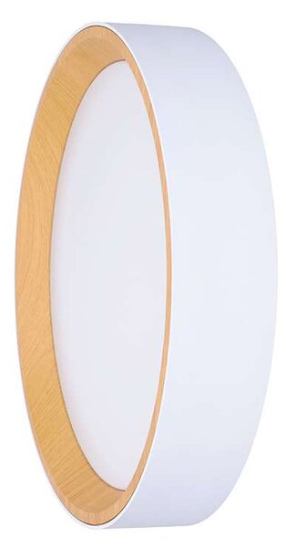 LED stropní světlo s dálkovým ovládáním Larios nastavitelné - průměr 39 cm, bílá