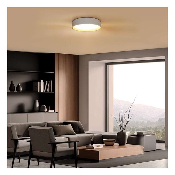 LED stropní světlo s dálkovým ovládáním Larios nastavitelné - průměr 39 cm, bílá
