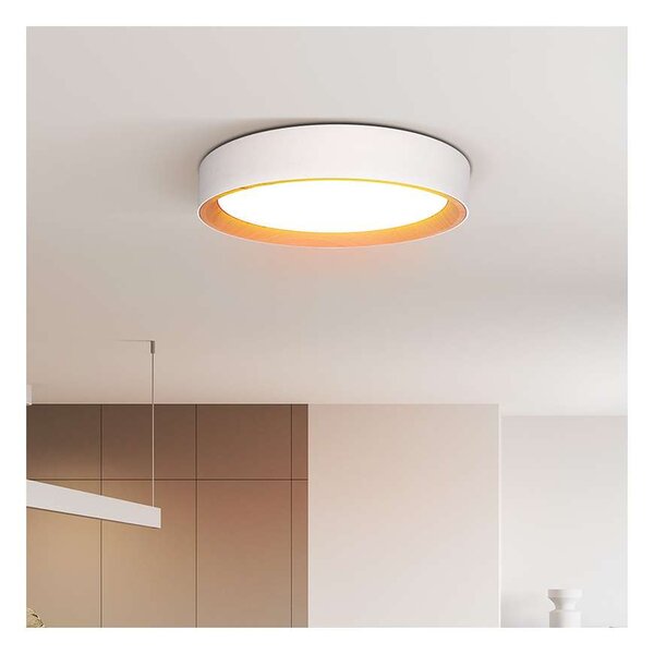 LED stropní světlo s dálkovým ovládáním Larios nastavitelné - průměr 39 cm, bílá
