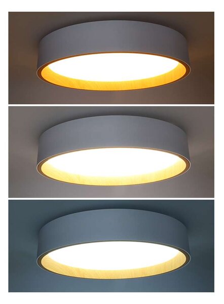 LED stropní světlo s dálkovým ovládáním Larios nastavitelné - průměr 39 cm, bílá