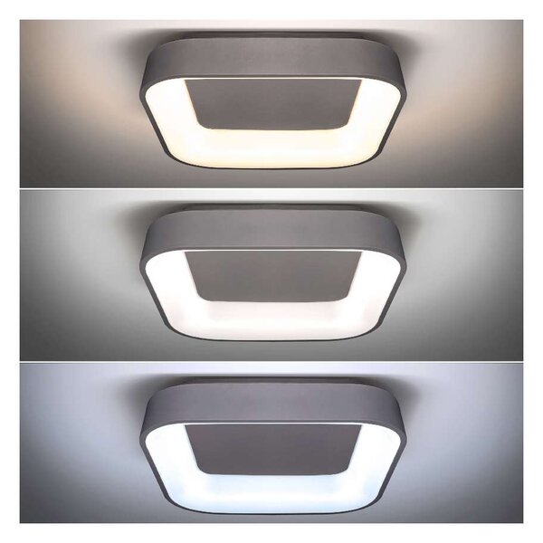 LED stropní světlo s dálkovým ovládáním Treviso - 45 x 45 cm, šedá