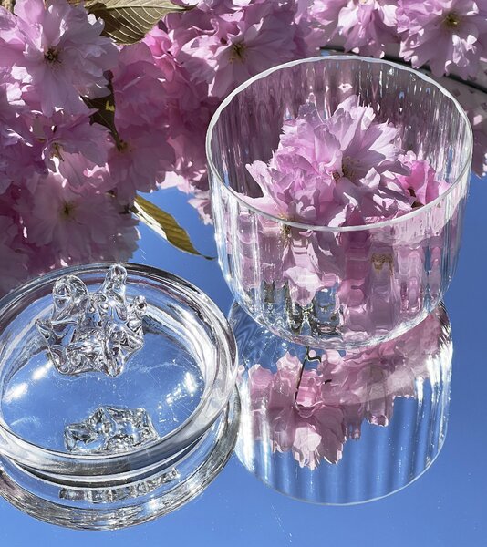 Skloglass Dózička SAKURA Křišťál Barva: Křištál, Kusy: 1ks