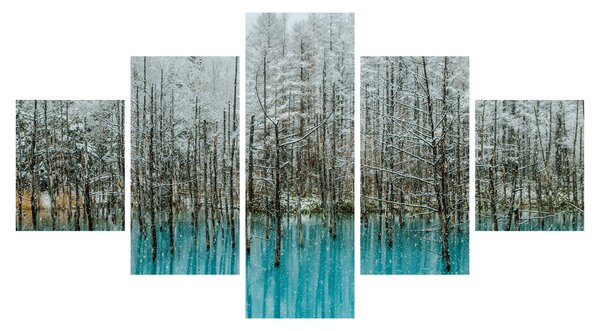 Obraz - Tyrkysový rybník, Biei, Japonsko (125x70 cm)