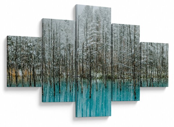 Obraz - Tyrkysový rybník, Biei, Japonsko (125x70 cm)