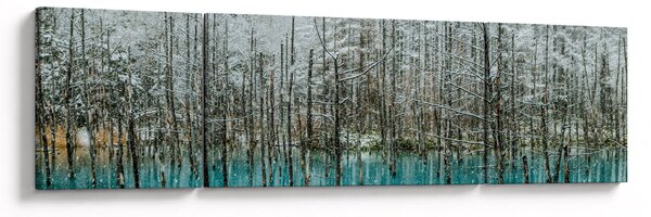 Obraz - Tyrkysový rybník, Biei, Japonsko (170x50 cm)