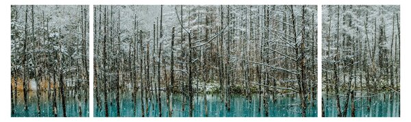 Obraz - Tyrkysový rybník, Biei, Japonsko (170x50 cm)