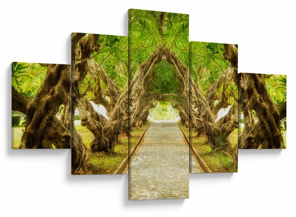 Obraz - Živý tunel z plumérií (125x70 cm)