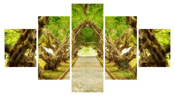 Obraz - Živý tunel z plumérií (125x70 cm)