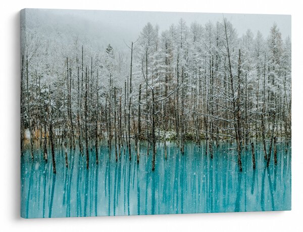 Obraz - Tyrkysový rybník, Biei, Japonsko (70x50 cm)