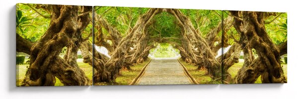 Obraz - Živý tunel z plumérií (170x50 cm)