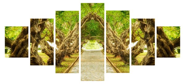 Obraz - Živý tunel z plumérií (210x100 cm)