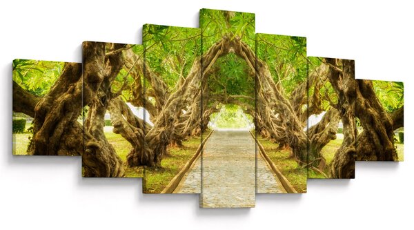 Obraz - Živý tunel z plumérií (210x100 cm)
