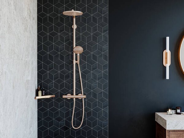 Hansgrohe AddStoris Q - Košík do rohu, kartáčovaný bronz 41741140