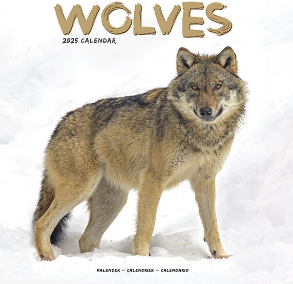 Kalendář 2025 Wolves FAVI.cz