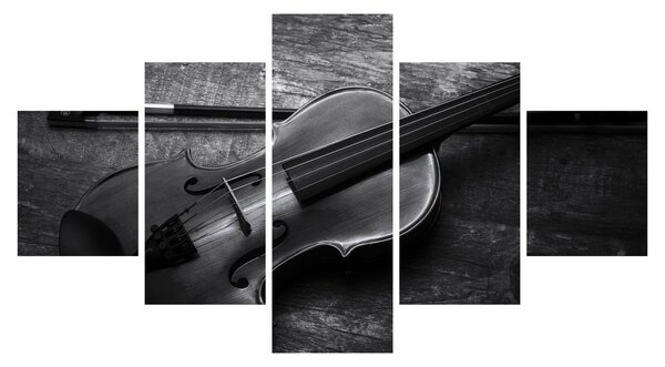 Obraz - Viola (125x70 cm)