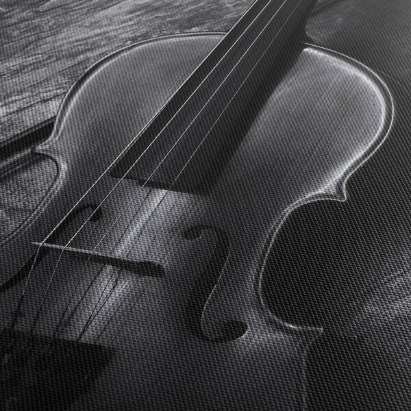 Obraz - Viola (170x50 cm)