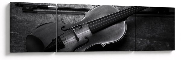 Obraz - Viola (170x50 cm)