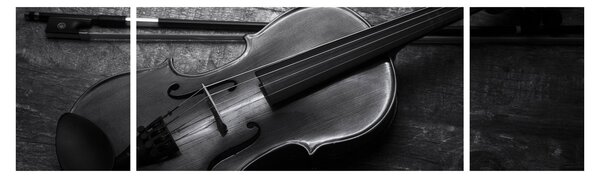 Obraz - Viola (170x50 cm)