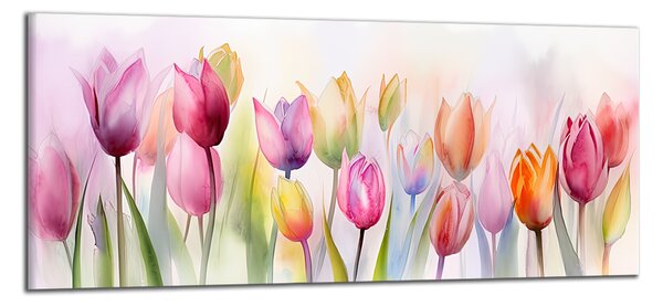 Obraz na plátně Barevné tulipány , jednodílný 4232AZ