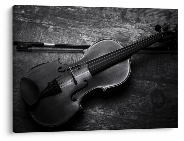 Obraz - Viola (70x50 cm)