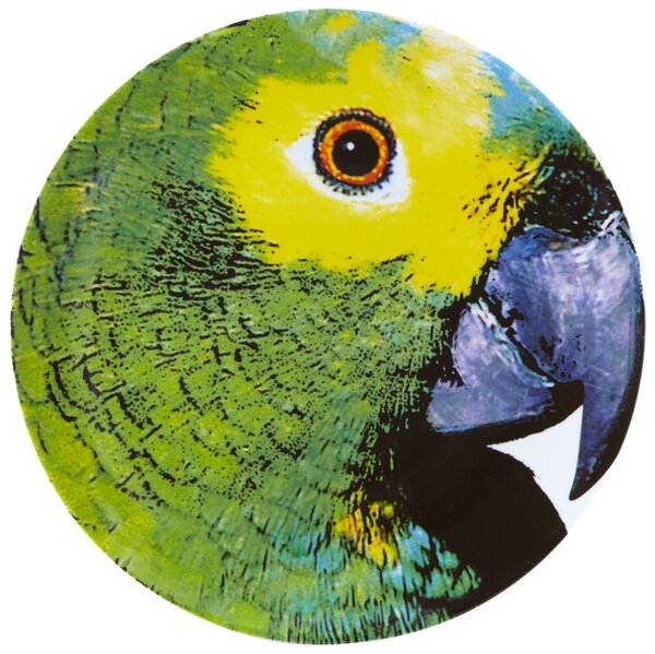 Vista Alegre Olhar o Brasil Podkladový talíř Parrot