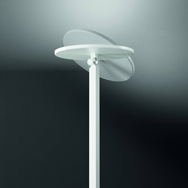Fabas Luce Stojací lampa Regina LED, bílá, stmívatelná, výška 180 cm, stmívatelný, Bílá / opál, Obývací pokoj / jídelna, kov, Moderní