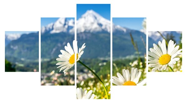 Obraz - Jaro v Alpách (125x70 cm)